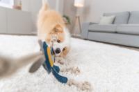 Trixie monster leer met touw - thumbnail