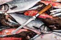 FORGED - Olive Forged - Visfileermes Olijfhout - thumbnail