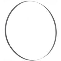 Bandzaagblad 2950 x 16 x 0,5 mm T 6 mm Holzmann Maschinen BSB400B15 - thumbnail