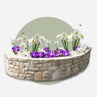 Jub Tas shade garden 50st - thumbnail