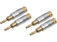 Abi Banaanstekker - thumbnail