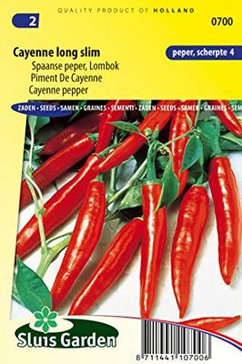 Spaanse peper zaden Cayenne Long Slim