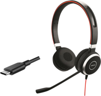 Jabra Evolve 40 MS Stereo Headset – Microsoft Teams Certified Headphones for VoIP Softphone with Passive Noise Cancellation – USB-C Cable with Controller – black - thumbnail
