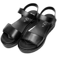 Ara 1233518 - alle - thumbnail