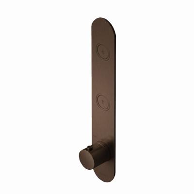 Hotbath Cobber Afbouwdeel thermostaat Verticaal met 2 push buttons Verouderd Messing PB066 Hotbath Cobber Afbouwdeel thermostaat Verticaal met 2 push buttons Verouderd Messing PB066