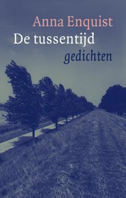 De tussentijd - Anna Enquist - eBook (9789029581486)