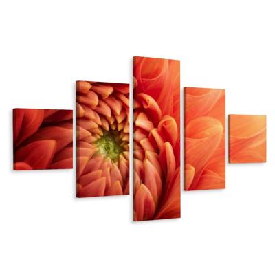 Schilderij - Oranje Chrysant, 5luik, premium print