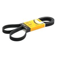 Multiriem set 6PK2404K1 - thumbnail