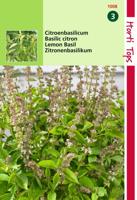 Zaden Basilicum Citroensmaak - Lemon Basil - Kemangi Hortitops - Hortitops - thumbnail