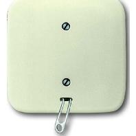 ABB 2CKA001315A0191 Schakelaar IP20 Parel-wit, Crème-wit - thumbnail