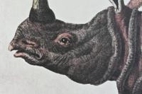 Schilderij DKD Home Decor Koloniaal Neushoorn (180 x 4 x 120 cm) - thumbnail