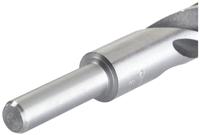 Houtboor 16mm KWB - Kwb - thumbnail