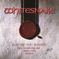 Slip Of The Tongue - CD (0190295409807) - thumbnail