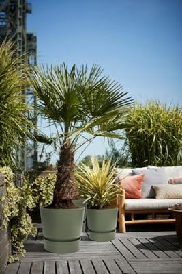 Bloempot Elho Greenville Ø 24,48 cm Groen Plastic Cirkelvormig Ø 25 cm Ø 24,5 x 23,30 cm