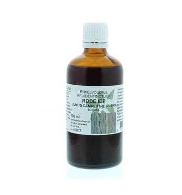 Cruydhof Ulmus campestre rubra / rode iep tinctuur 100 Milliliter
