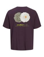 Jack & Jones Jjrody Tee Ss Crew Neck Print T-shirts Plum Perfect - thumbnail