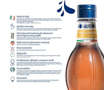 Fabbri - Mixybar Gingerbread Siroop - 1ltr