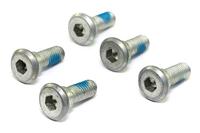 TRW bouten set screw set 5pcs. m8x1,25 - thumbnail