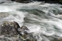 Cokin Filter P153 Neutral Grey ND4 (0.6) - thumbnail