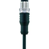 Escha 8046926 Sensor/actuator connector, geassembleerd M12 Aantal polen (sensoren): 12 Stekker, recht 2.00 m 1 stuk(s) - thumbnail