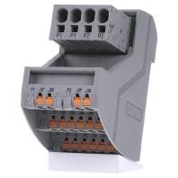 Phoenix Contact 2903797 VIP-3/PT/PDM-2/16 Potentiaalverdeler Varioface-VIP Inhoud: 1 stuk(s) - thumbnail