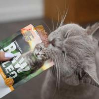RAW PALEO Adult Cat Sterilized Turkey - nat kattenvoer - 100 g - thumbnail