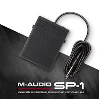 M-Audio SP-1 Sustain Pedal - thumbnail