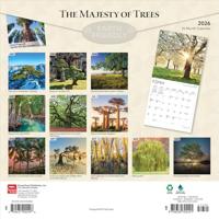 The Majesty of Trees Kalender 2026 - thumbnail