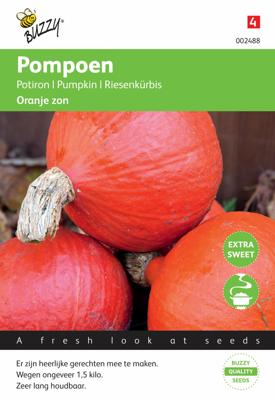 Zaden Pompoenen Uchiki Kuri (Oranjezon) Buzzy - Buzzy