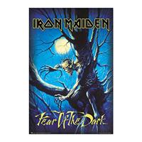 Poster Iron Maiden - Fear of the Dark 61x91,5cm - thumbnail