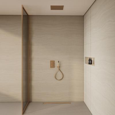 BWS Inbouw Plafondregendouche | Colorato | 30CM | met Handdouche | Geborsteld Goud | SET