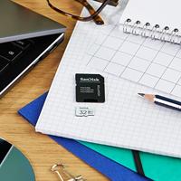 Sandisk MicroSDHC High Endurance 32GB Incl SD Adapter - thumbnail