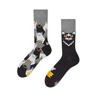 Many Mornings Black Cat / zwarte kat - mismatched sokken met kat, zwart, grijs, wit., 35 EU - thumbnail