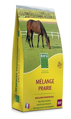 Prato - BHS - Miscela per prato 5kg | 500m² | Per aree estese e pascoli | Installazione rapida, durevole, non richiede manutenzione. Prato - BHS - Miscela per prato 5kg | 500m² | Per aree estese e pascoli | Installazione rapida, durevole, non richiede manutenzione.