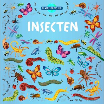 Rebo Publishers De wereld om ons heen - insecten