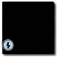 Busch-Jaeger 2CKA001710A1977 Afdekking Allweather 44 (IP44) Zwart-grijs, Antraciet 1 stuk(s) - thumbnail