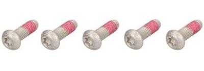 TRW bouten-set screw 5pcs. for brake rotors,5 pcs.