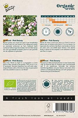 Organic Saponaria Koekruid Pink Beauty (Bio) zaden Buzzy - Buzzy