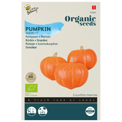Seeds pompoen amoro F1 6 zaden Buzzy - Buzzy