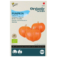 Seeds pompoen amoro F1 6 zaden Buzzy - Buzzy - thumbnail