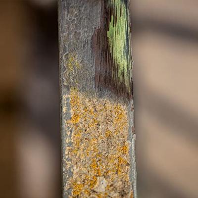 Scheppach Draadborstel MRS1300 | Fijn | 125x100mm - 7903800719 Scheppach Draadborstel MRS1300 | Fijn | 125x100mm - 7903800719