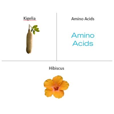 The Organic Pharmacy Neck & Chest Firming lotion 50ml Afslanken en verstevigen The Organic Pharmacy Neck & Chest Firming lotion 50ml Afslanken en verstevigen