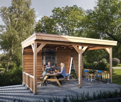 Woodvision overkapping Douglasvision 530x300 cm Douglas blank- Plat dak- Onbehandeld lariks Douglas hout- Woodvision
