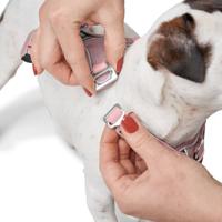 Hondentuigje Hunter DIVO UP Beige M - thumbnail