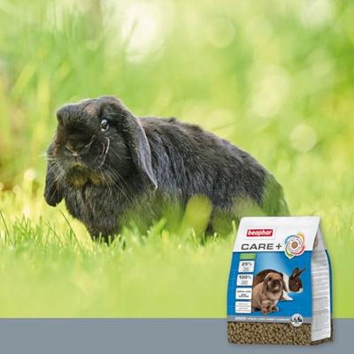 BEAPHAR CARE+ KONIJN SENIOR - thumbnail