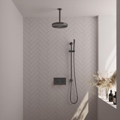 Brauer Stripe thermostatische inbouw regendouche met drukknoppen SET 33 met 25 cm douchekop en plafondarm en staaf handdouche en doucheslang en geintegreerde glijstang gunmetal geborsteld PVD