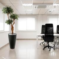 Shirakashi Layer deluxe x3 kunstplant 160cm - thumbnail