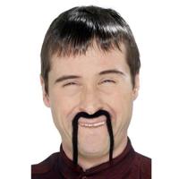 Chinese snor - thumbnail