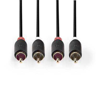 Nedis CABW24200AT100 Stereo Audiokabel 2x Rca Male - 2x Rca Male 10 M Antraciet