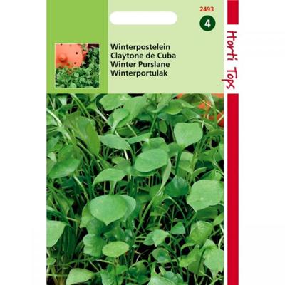 Zaden Winter Postelein Hortitops - Hortitops Zaden Winter Postelein Hortitops - Hortitops